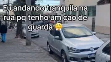 Reprodução// TikTok @tamedlr