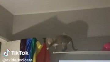 Reprodução// TikTok @avidadecicera