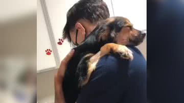 Reprodução/TikTok @p.fernandez___