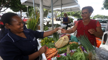 Mateus Pereira/GOVBA