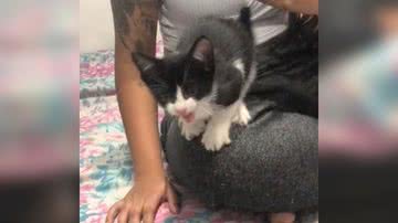 Reprodução/TikTok @carolinamanso6