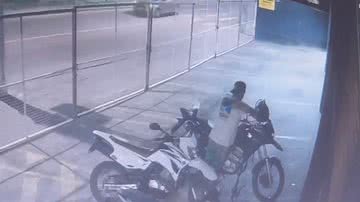 Reprodução