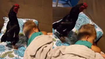 Reprodução/TikTok @paidobebecampeiro