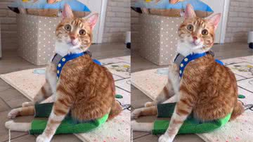 Reprodução / Instagram