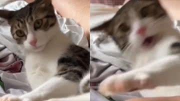 Reprodução / Instagram