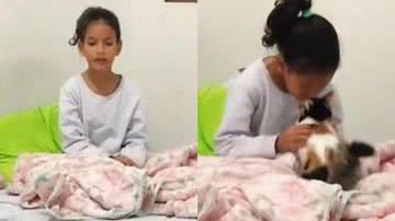 Reprodução/TikTok @quincat
