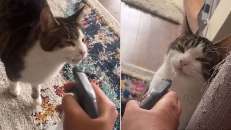 Reprodução / Instagram