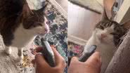 Reprodução / Instagram