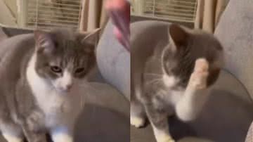 Reprodução / Instagram