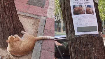 Reprodução / Twitter