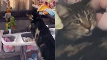 Reprodução / Instagram