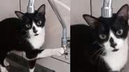 Reprodução/ Tik Tok