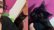 Reprodução/ Tik Tok