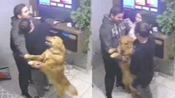 Reprodução / TikTok