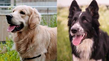 Ilustrativa / Pixabay