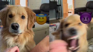 Reprodução / Instagram