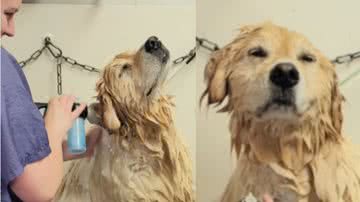 Reprodução / Instagram