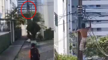 Reprodução/Vídeo