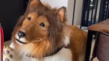 Reprodução / Youtube