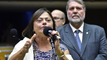 Zeca Ribeiro / Câmara dos Deputados