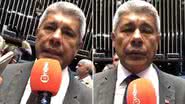 BNews