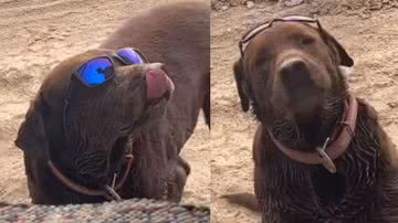 Reprodução / Instagram