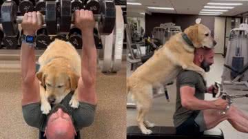 Reprodução / Tik Tok