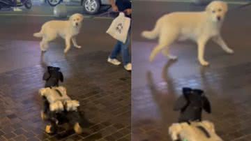 Reprodução / Instagram