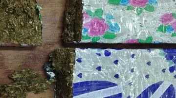 Reprodução/TV Gazeta