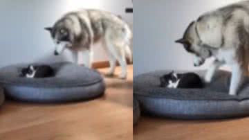 Reprodução / Instagram