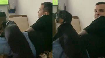 Reprodução/TikTok @kamilamol