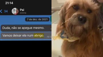 Reprodução/TikTok @dudadelg