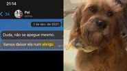 Reprodução/TikTok @dudadelg