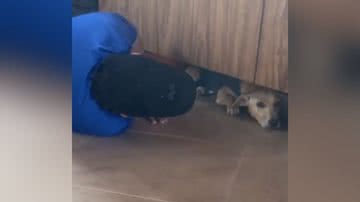 Reprodução/TikTok @daniibarreto_