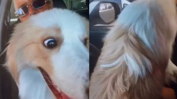 Reprodução/ redes sociais/ montagem Extra