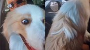Reprodução/ redes sociais/ montagem Extra