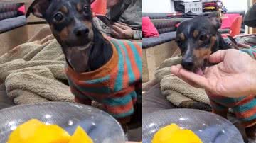 Reprodução / TikTok