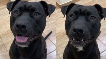 Reprodução / Tik Tok