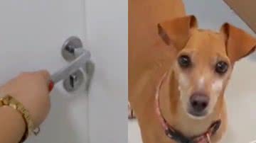 Reprodução/TikTok @oape604