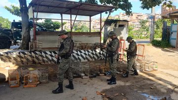 Imagem PM estoura cativeiro que mantinha aves silvestres em Salvador
