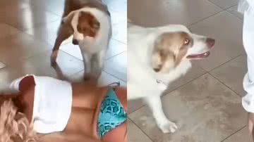 Reprodução/Instagram @britneyspears