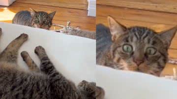 Reprodução/ Tik Tok