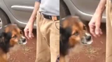 Reprodução/ Tik Tok