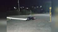 Arquivo Pessoal