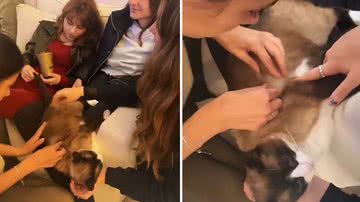 Reprodução/TikTok @anafavs