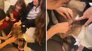 Reprodução/TikTok @anafavs