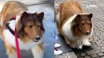 Reprodução / Youtube