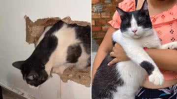 Reprodução / Instagram