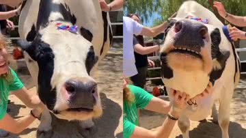 Reprodução/Instagram @thegentlebarn