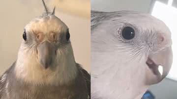 Reprodução / Instagram